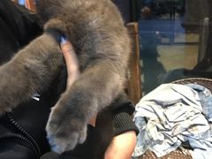 -八公叔叔宠物美容连锁(春申店)