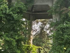 -南海禅寺