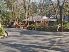 -岳麓山风景名胜区