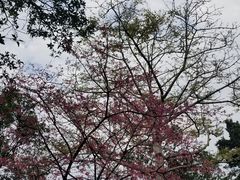 -乌山风景区