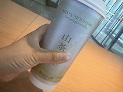 -雾与山茶(大禹城店)