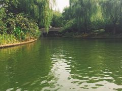-荆川公园