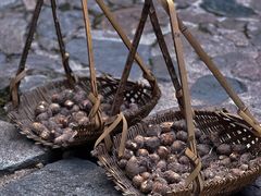 -南靖田螺坑土楼群景区