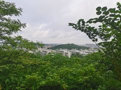-羊山湖公园