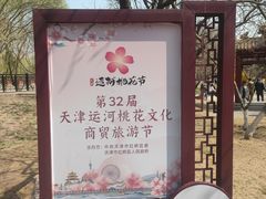 -桃花堤公园
