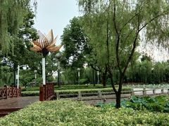 -荷花公园