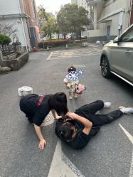-七色田儿童摄影(静安店)