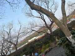 -杭州龙禧福朋喜来登酒店