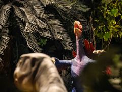 -辽宁古生物博物馆