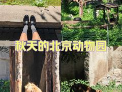 -北京动物园