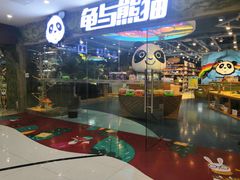 -龟与熊猫宠物公园(南坪店)