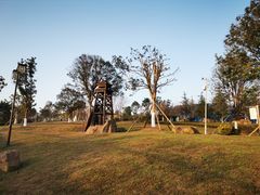 -铁山坪森林公园