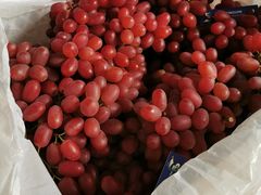 -西郊国际农产品交易中心