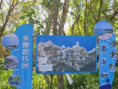 -广东惠东海龟国家级自然保护区