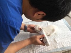 -畜牧兽医站(共江路店)