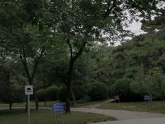 -元大都城垣遗址公园