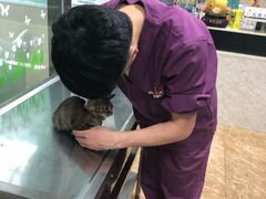 -A猫a狗全科·犬猫异宠·芥西宠物医院(南开总院)