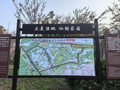 -盐城丹顶鹤湿地生态旅游区