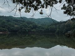 -广州市石门国家森林公园