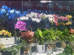 -怡花宜木鲜花店(朝阳路店)