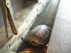 -渔家颂歌渔家味道(青石路店)