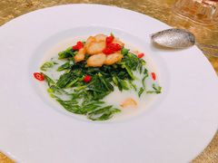 酥脆鱼汤浸菜苗-誉珑轩