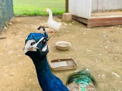 -潭柘厚院(桑峪村店)