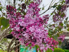 -威海天沐温泉度假区