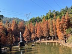 -广州市帽峰山景区