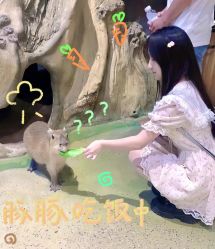 -Zoolung Zoolung动物主题公园(海信广场店)