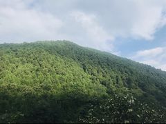 -抱龙峪