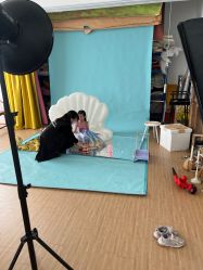 -十月孕记孕妈妈摄影