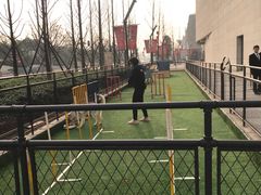 -瑞鹏宠物医院·眼科·皮肤·中兽医(大悦城分院)