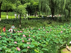 -沐仙湖湿地公园