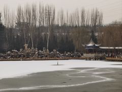 -金城公园