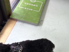 -瑞鹏宠物医院·宠保定点·心脏科·内科(御桥分院)