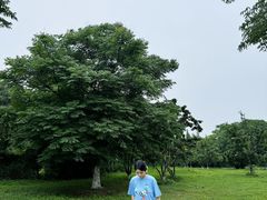 -艾溪湖湿地公园