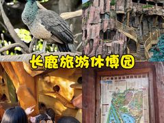 -长鹿旅游休博园
