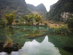 -靖西鹅泉风景区