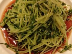 酒香炒豆苗-老头儿油爆虾·知味杭州(爱琴海购物中心)