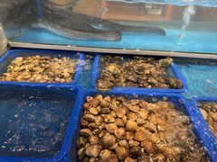 -盛宴自助餐厅(运达喜来登店)