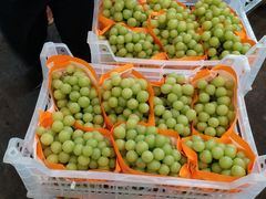 -西郊国际农产品交易中心
