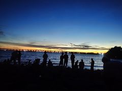 -宝安西湾红树林湿地公园