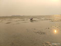 -红树林天天赶海