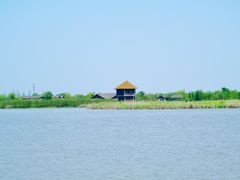 -宁波杭州湾国家湿地公园