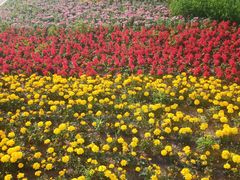 -长春公园(普阳街道)