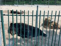 -秦皇岛野生动物园