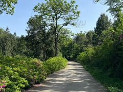 -重庆雨台山风景区
