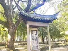 -兰亭风景区