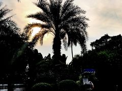 -白天鹅宾馆-健身中心